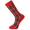 Socks Checked 001